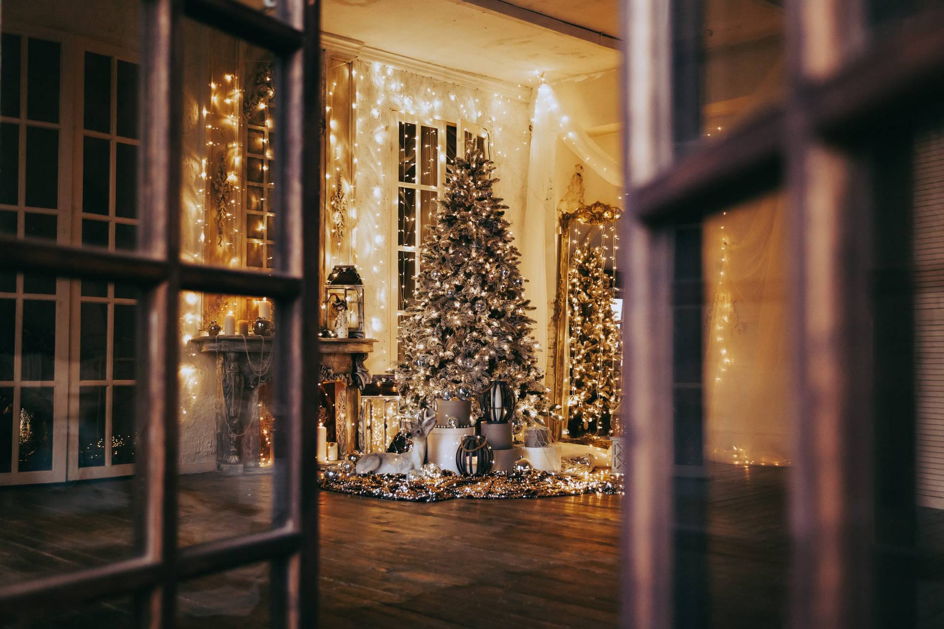 How to Save Energy this Christmas!
