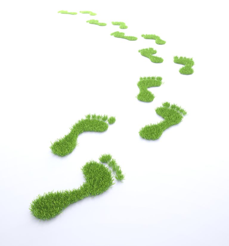 Building a Better Future: Plastic-Free July Through Eco-Friendly Materials & Initiatives