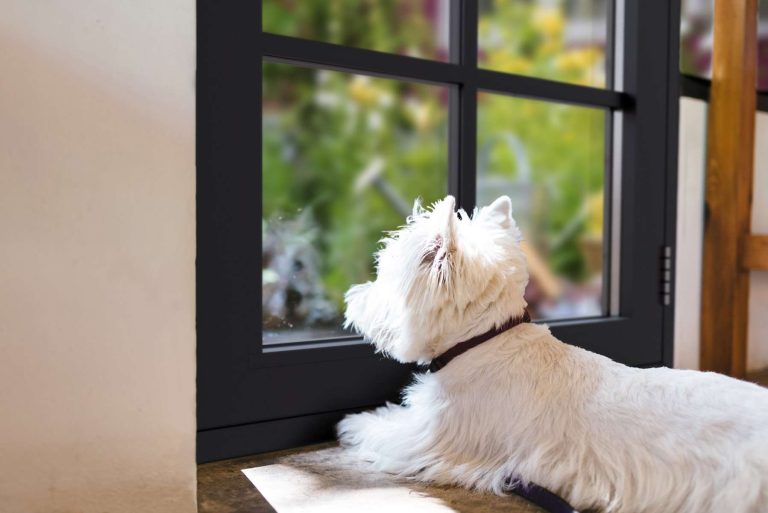 aluminium windows t&k